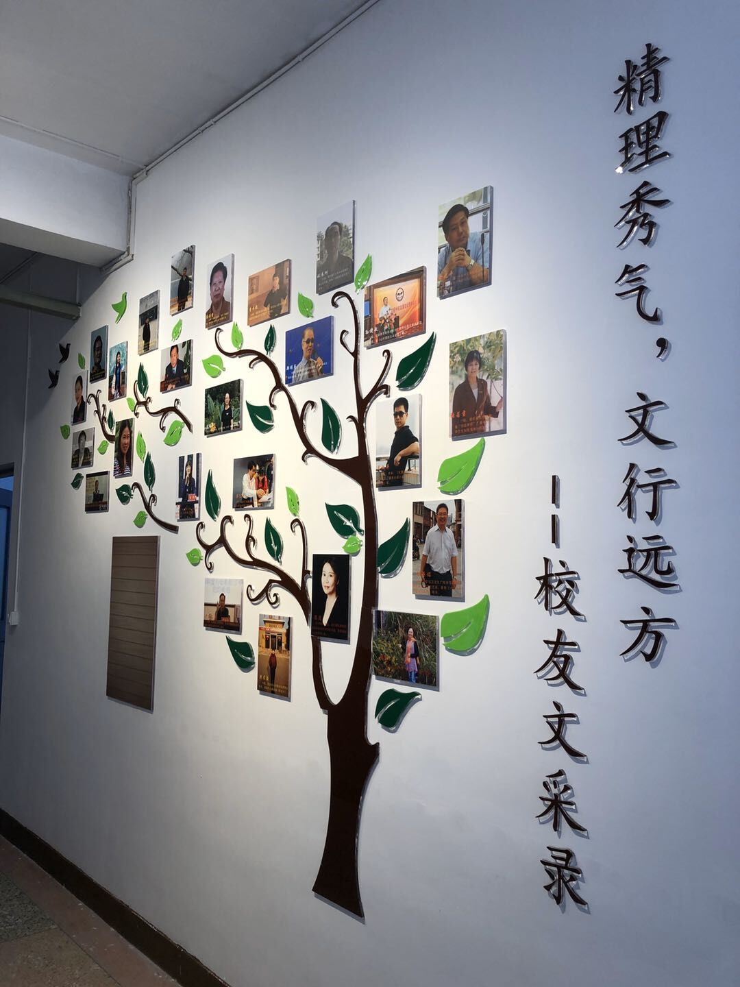 世俱杯官方网站入口,世俱杯中国官网入口